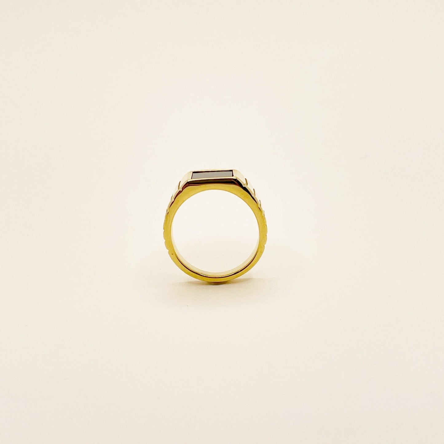 Black Onyx Ring - novélle
